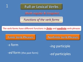 The verb forms have different functions in finite and nonfinite verb phrases

-s form

-ing participle

-ed form (the past form)

-ed participles

 