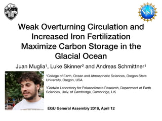 Weak Overturning Circulation and
Increased Iron Fertilization
Maximize Carbon Storage in the
Glacial Ocean
Juan Muglia1, Luke Skinner2 and Andreas Schmittner1
1College of Earth, Ocean and Atmospheric Sciences, Oregon State
University, Oregon, USA

2Godwin Laboratory for Palaeoclimate Research, Department of Earth
Sciences, Univ. of Cambridge, Cambridge, UK

EGU General Assembly 2018, April 12
 