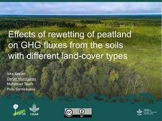 Effects of rewetting of peatland
on GHG fluxes from the soils
with different land-cover types
Iska Lestari
Daniel Murdiyarso
Muhamad Taufik
Putu Santikayasa
 