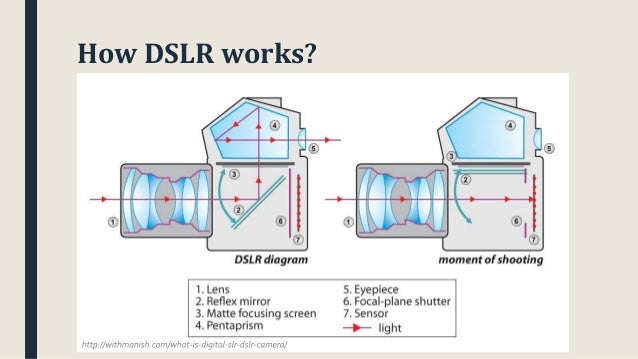 photography basics by bidhan rajkarnikar how dslr works