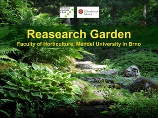 Reasearch Garden
Faculty of Horticulture, Mendel University in Brno
 