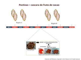 Aportes para el manejo de Cd en cacao