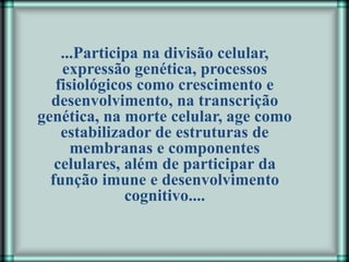 ...Participa na divisão celular,
expressão genética, processos
fisiológicos como crescimento e
desenvolvimento, na transcrição
genética, na morte celular, age como
estabilizador de estruturas de
membranas e componentes
celulares, além de participar da
função imune e desenvolvimento
cognitivo....
 