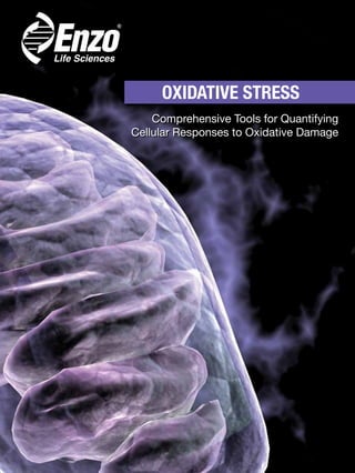 OXIDATIVE STRESS
Comprehensive Tools for Quantifying
Cellular Responses to Oxidative Damage
 
