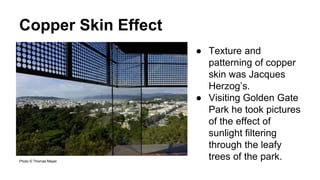 Copper Skin Effect
Photo © Thomas Mayer
Photo © Thomas Mayer
● Texture and
patterning of copper
skin was Jacques
Herzog’s.
● Visiting Golden Gate
Park he took pictures
of the effect of
sunlight filtering
through the leafy
trees of the park.
 