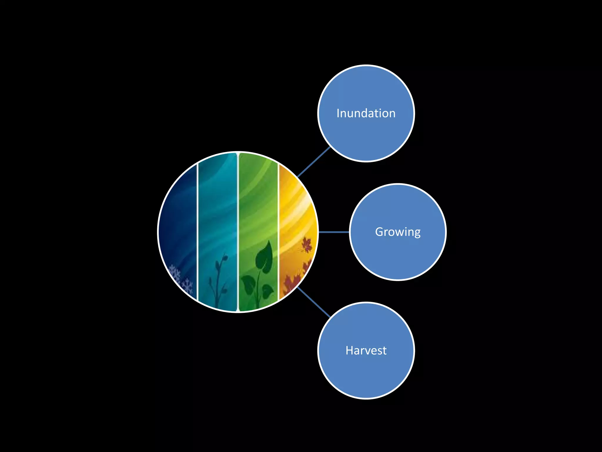 Inundation
Growing
Harvest