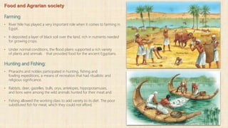 Food and Agrarian society
Farming
• River Nile has played a very important role when it comes to farming in
Egypt.
• It deposited a layer of black soil over the land, rich in nutrients needed
for growing crops.
• Under normal conditions, the flood plains supported a rich variety
of plants and animals that provided food for the ancient Egyptians.
Hunting and Fishing:
• Pharaohs and nobles participated in hunting, fishing and
fowling expeditions, a means of recreation that had ritualistic and
religious significance.
• Rabbits, deer, gazelles, bulls, oryx, antelopes, hippopotamuses,
and lions were among the wild animals hunted for their meat and
• Fishing allowed the working class to add variety to its diet. The poor
substituted fish for meat, which they could not afford.
 