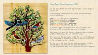 How Egyptians represent life
On the Tree Of Life, the birds represent the various stages of
human life.
Starting in the lower right-hand corner and proceeding
counter-clockwise:
The light gray bird symbolizes infancy.
The red bird symbolizes childhood.
The green bird symbolizes youth.
The blue bird symbolizes adulthood.
The orange bird symbolizes old age.
In ancient Egypt, the direction east was considered the
direction of life, because the sun rose in the east.
West was considered the direction of death, of entering the
underworld, because the sun set in the west.
They believed that during the night, the sun traveled through
the underworld to make its way back to the east so it could
in the east again on the next day.
On the tree of life, note that the birds representing the first
four phases of life all face to the east, but the bird
old age faces to the west, anticipating the approach of death.
 