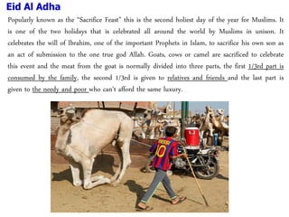 Eid Al Adha
Popularly known as the “Sacrifice Feast” this is the second holiest day of the year for Muslims. It
is one of the two holidays that is celebrated all around the world by Muslims in unison. It
celebrates the will of Ibrahim, one of the important Prophets in Islam, to sacrifice his own son as
an act of submission to the one true god Allah. Goats, cows or camel are sacrificed to celebrate
this event and the meat from the goat is normally divided into three parts, the first 1/3rd part is
consumed by the family, the second 1/3rd is given to relatives and friends and the last part is
given to the needy and poor who can’t afford the same luxury.
 