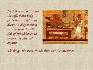 Next they would remove
the soft, moist body
parts that would cause
decay. A deep incision
was made in the left
side of the abdomen to
remove the internal
organs:
the lungs, the stomach, the liver and the intestines.
 