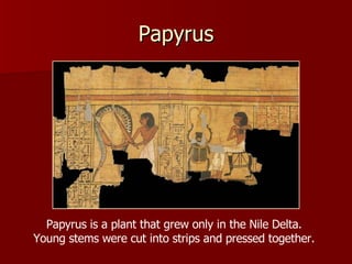 Papyrus Papyrus is a plant that grew only in the Nile Delta. Young stems were cut into strips and pressed together. 