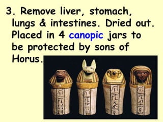 3. Remove liver, stomach,
lungs & intestines. Dried out.
Placed in 4 canopic jars to
be protected by sons of
Horus.
 