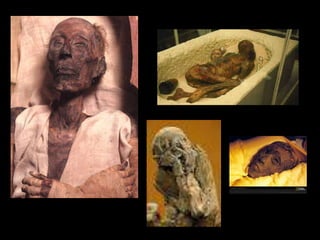 Features were meant to be recognizable
 