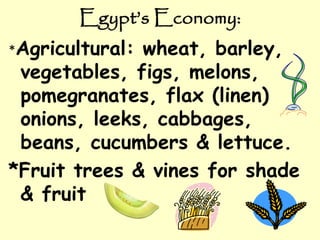 Egypt’s Economy:
*Agricultural: wheat, barley,
vegetables, figs, melons,
pomegranates, flax (linen)
onions, leeks, cabbages,
beans, cucumbers & lettuce.
*Fruit trees & vines for shade
& fruit
 
