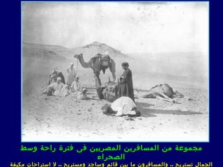 ‫مجموعة من المسافرين المصريين فى فترة راحة وسط‬
                      ‫الصحراء‬
‫الجمال تستريح .. والمسافرون ما بين قائم وساجد ومستريح .. ل استراحات مكيفة‬
 