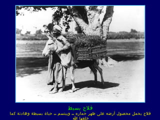 ‫فلح بسيط‬
‫فلح يحمل محصول أرضه على ظهر حماره .. ويبتسم .. حياة بسيطة وهادئة كما‬
                                 ‫خلقها ا‬
 