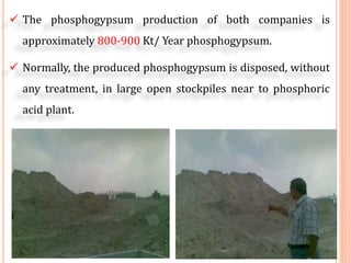  The phosphogypsum production of both companies is
approximately 800-900 Kt/ Year phosphogypsum.
Normally, the produced phosphogypsum is disposed, without
any treatment, in large open stockpiles near to phosphoric
acid plant.