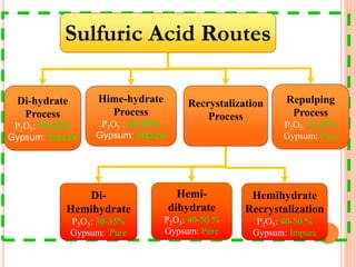 Sulfuric Acid Routes
Di-hydrate
Process
P2O5: 28-30%
Gypsum: Impure
Hime-hydrate
Process
P2O5 : 40-50%
Gypsum: Impure
Recrystalization
Process
Di-
Hemihydrate
P2O5: 30-35%
Gypsum: Pure
Hemi-
dihydrate
P2O5: 40-50 %
Gypsum: Pure
Hemihydrate
Recrystalization
P2O5: 40-50 %
Gypsum: Impure
Repulping
Process
P2O5: 42-45%
Gypsum: Pure