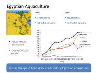 Update on Egyptian aquaculture value chain development