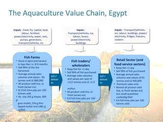 Update on Egyptian aquaculture value chain development