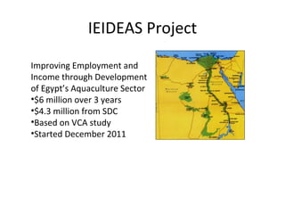 Update on Egyptian aquaculture value chain development