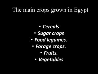 The main crops grown in Egypt

           • Cereals
         • Sugar crops
       • Food legumes.
        • Forage crops.
            • Fruits.
         • Vegetables
 