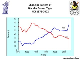 Changing Pattern of
Bladder Cancer Type
   NCI 1975-2002




                      www.nci.cu.edu.eg
 