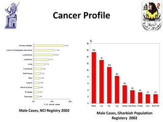 Cancer Profile




Male Cases, NCI Registry 2002
                                Male Cases, Gharbiah Population
                                        Registery 2002
 