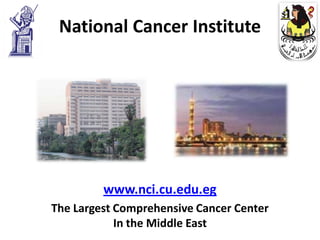 National Cancer Institute




         www.nci.cu.edu.eg
The Largest Comprehensive Cancer Center
            In the Middle East
 