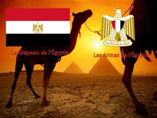 Le drapeau de l'Égypte Les Armes de l'Égypte 