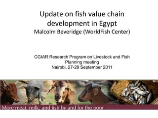 Update on fish value chain
    development in Egypt
Malcolm Beveridge (WorldFish Center)



CGIAR Research Program on Livestock and Fish
              Planning meeting
       Nairobi, 27-29 September 2011
 