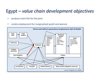 Update on fish value chain development in Egypt