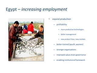 Update on fish value chain development in Egypt