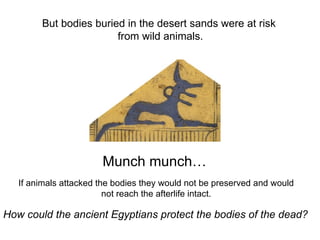 But bodies buried in the desert sands were at risk  from wild animals. Munch munch… How could the ancient Egyptians protect the bodies of the dead? If animals attacked the bodies they would not be preserved and would not reach the afterlife intact. 