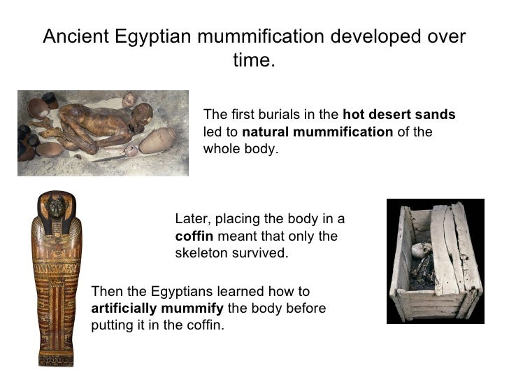 5 paragraph essay on mummification