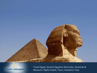 Travel Egypt, Ancient Egyptian Mummies, Pyramids & Museum, Flights Hotels, Tours, Vacations Trips 