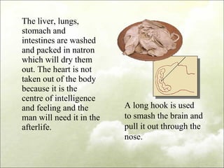 The liver, lungs, stomach and intestines are washed and packed in natron which will dry them out. The heart is not taken out of the body because it is the centre of intelligence and feeling and the man will need it in the afterlife. A long hook is used to smash the brain and pull it out through the nose.  