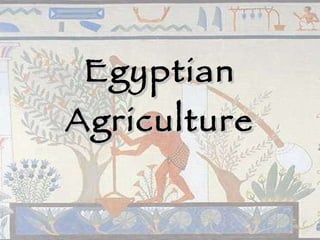 Egyptian Agriculture 