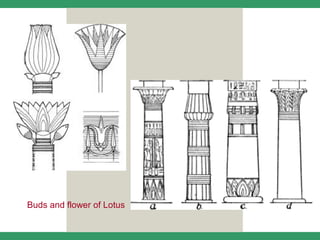 Buds and flower of Lotus
 