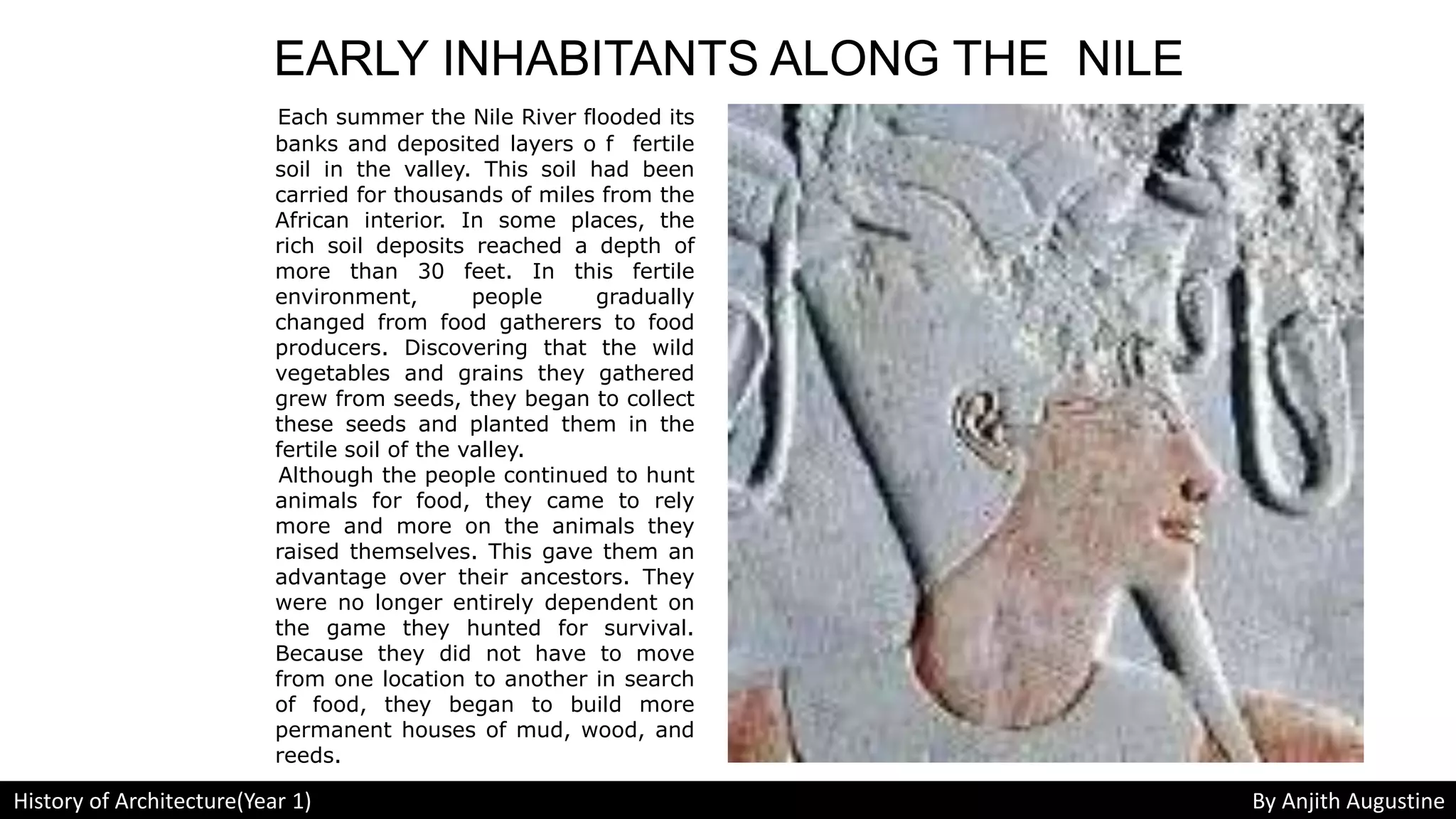 EARLY INHABITANTS ALONG THE NILE
Each summer the Nile River flooded its
banks and deposited layers o f fertile
soil in the valley. This soil had been
carried for thousands of miles from the
African interior. In some places, the
rich soil deposits reached a depth of
more than 30 feet. In this fertile
environment, people gradually
changed from food gatherers to food
producers. Discovering that the wild
vegetables and grains they gathered
grew from seeds, they began to collect
these seeds and planted them in the
fertile soil of the valley.
Although the people continued to hunt
animals for food, they came to rely
more and more on the animals they
raised themselves. This gave them an
advantage over their ancestors. They
were no longer entirely dependent on
the game they hunted for survival.
Because they did not have to move
from one location to another in search
of food, they began to build more
permanent houses of mud, wood, and
reeds.
History of Architecture(Year 1) By Anjith Augustine
 