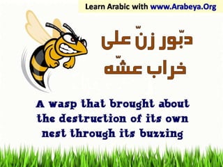 Egyptian Colloquail Arabic Proverbs