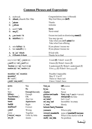 Common Phrases and Expressions
A. mabruuk
B. AUaah yibaarik fiik / fiiki
A. ukran
B. tafwan
A. aasif 1'asfa
B. matlil
A. min faDIak I ik
A. law samaHt ( i )
a a y i z (a) I mi[ taayiz (a)
taarif (a) / m$ taarif (a)
faahim (a) / mi faahim (a)
saakin (a) 1mil saakin (a)
mumkin / mil mumkin
mumkin?
fii / mafiif
and! / ma^andiiJ
L
Congratulations (may it blessed)
May God bless you ( d o
Thanks
welcome
Sorry
Never mind
Excuse me (said on dismissing oneself)
You may (go on)
Take what you (m/f) asked for
Take what I am offering
If you please / excuse me
If you please I excuse me
If God wills
Thanks be to God
I want (f) /1don't want (f)
I know (f) 11don't know (f)
I understand (f) 11don't understand (f)
I live....(f) 11don't live.......(f)
Possible I impossible
May I? Can I?
There is / there isn't
I have /1don't have
aywa
la'
bass
kifaaya
~ a ~ ~ i
b h a ai
Kamaan
taani
SaHH
maZbuuT
talaT
sawa
fwa?Ya WaYYa
Yes
Enough/bui/only
Enough
OK
Also/ too
Agaidmore
Right
Correct
Wrong
Together
Little by little
means
Tabcan O
f
fcourse
fitIan True
abadan Never
giddan/awi/xaalis Very (neg+ xaalis =never)
dayman Always/ail the time
mi kida? Isn't it so?
mi mq'uul Incredible/ its crazy
bi [wee! Slowly
kalaam faaqNonsense
yaxsaara What a pity
winta(i) maalakfik none of your(m/f) business
maalakfik What is the matter with u
mafii muikila No problem
 