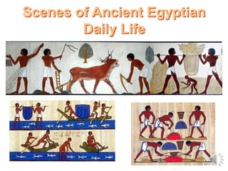Scenes of Ancient Egyptian
Daily Life
 