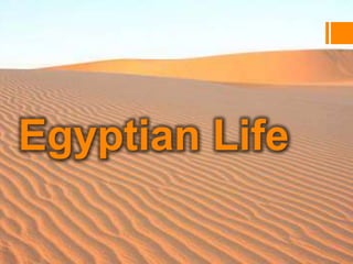 Egyptian Life
 