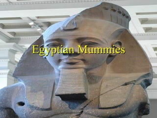 Egyptian Mummies 