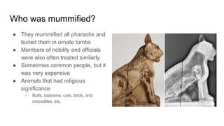 Who was mummified?
● They mummified all pharaohs and
buried them in ornate tombs
● Members of nobility and officials
were also often treated similarly
● Sometimes common people, but it
was very expensive
● Animals that had religious
significance
○ Bulls, baboons, cats, birds, and
crocodiles, etc.
 