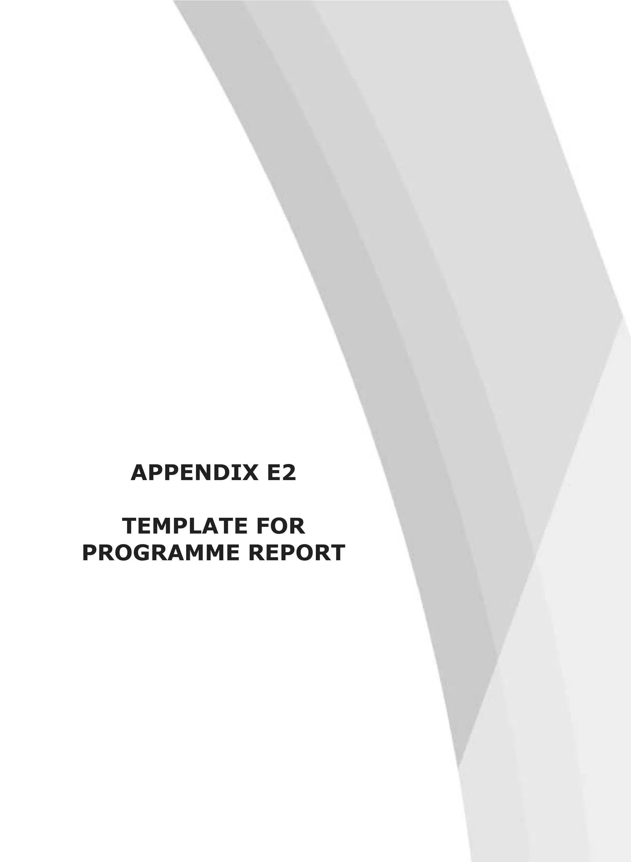 APPENDIX E2
TEMPLATE FOR
PROGRAMME REPORT
 