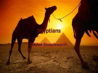 Egyptians
Baylee Stoppleworth
 