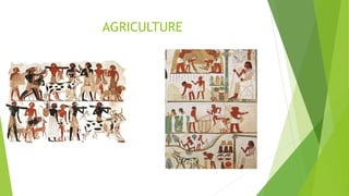 AGRICULTURE
 