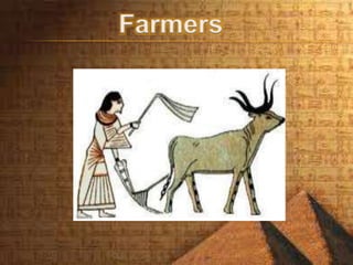 Farmers
 